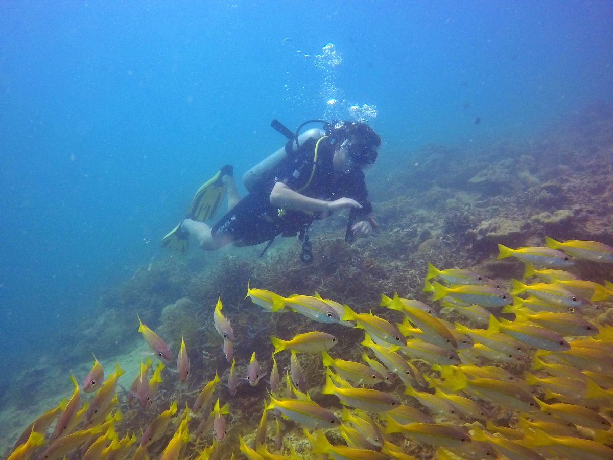 advanced open water course training dive at mabul