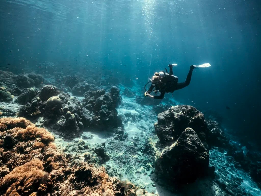 divers on sipadan beach during surface interval
