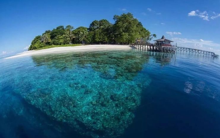 sipadan reef flat dropping into deep blue water